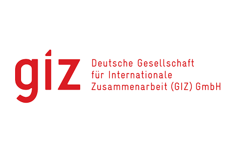 GIZ logo