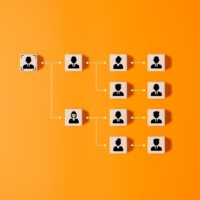 Organisation chart, mind map